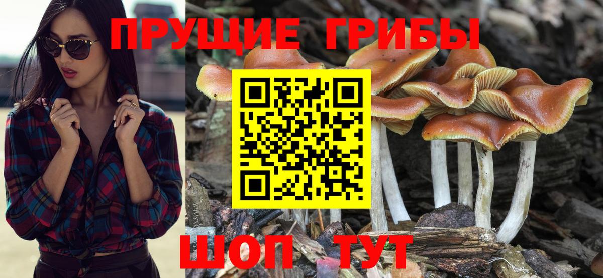 Псилоцибиновые грибы ЛСД Златоуст