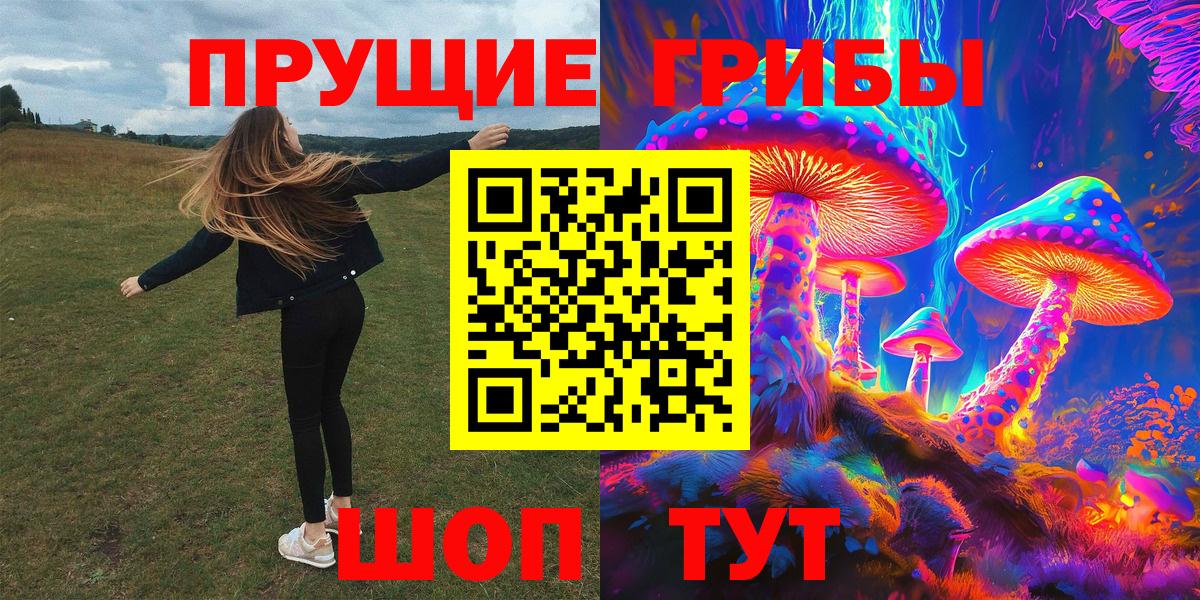 Галлюциногенные грибы Psilocybine cubensis  Вход с VPN  Златоуст 